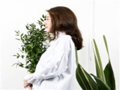 黄色软件下载安装大全网站代码,软件下载新神器，体验升级引关注